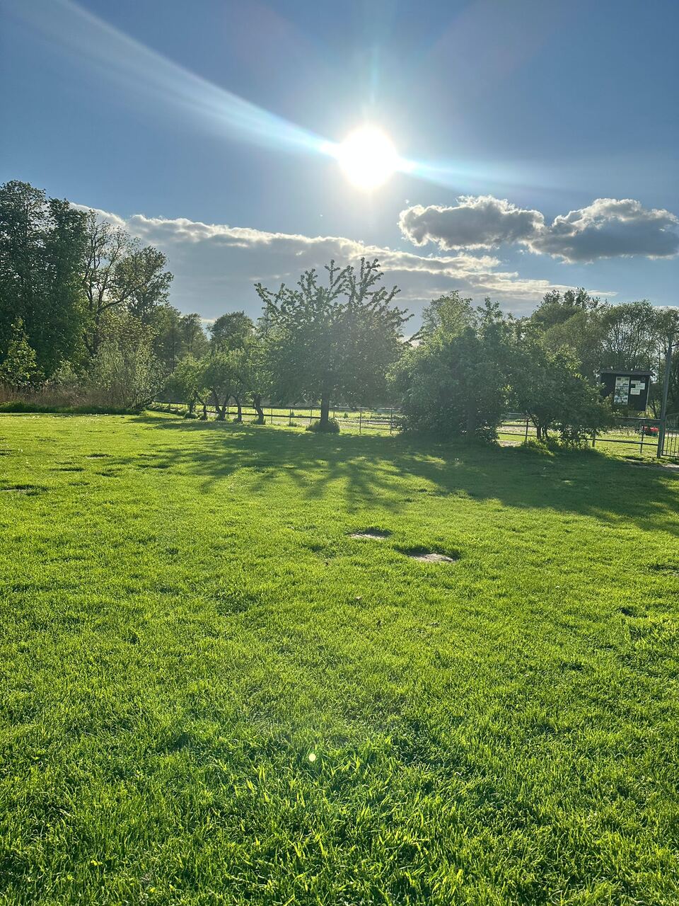 Weitläufiger Garten mit alten Bäumen in der Abendsonne